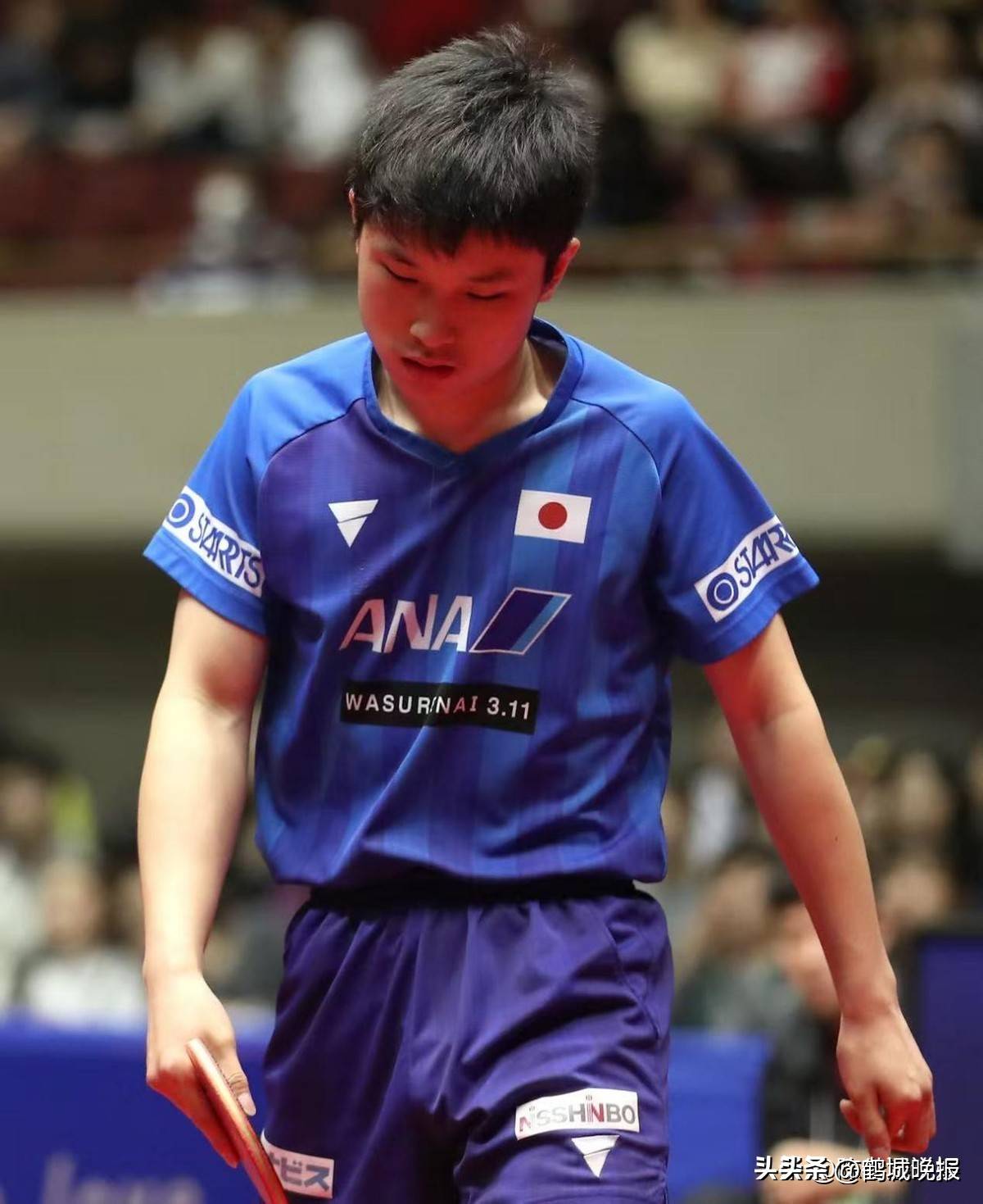奥地利队鏖战葡萄牙队，张本智和高光表现的简单介绍